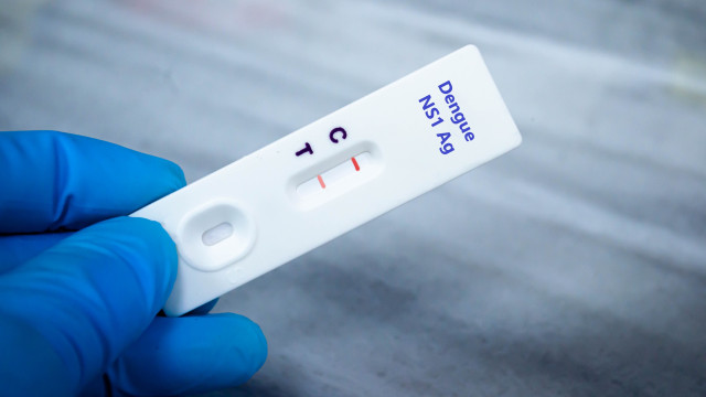 Alagamentos podem provocar novos casos de dengue no Rio Grande do Sul