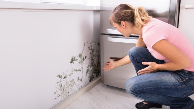 Casa com bolor ou mofo? Saiba o que pode acontecer ao seu corpo