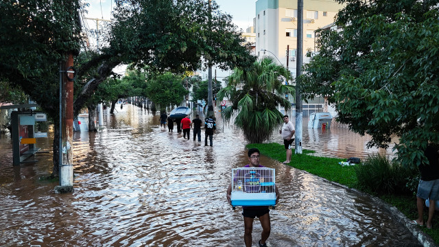 Saiba como prevenir doenças como a leptospirose, após chuvas no RS