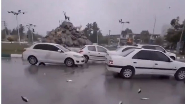 Chuva de peixes surpreende moradores de Yasuj, no Irã; entenda