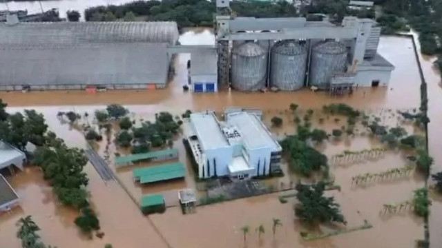 Galpão com 100 mil toneladas de soja rompe por causa das chuvas no RS