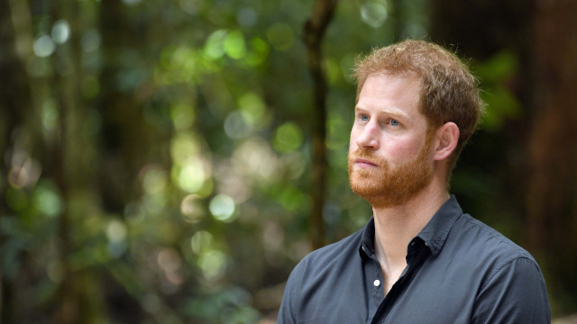 Harry recebe mensagem de avião polêmica sobre a mãe, Lady Di