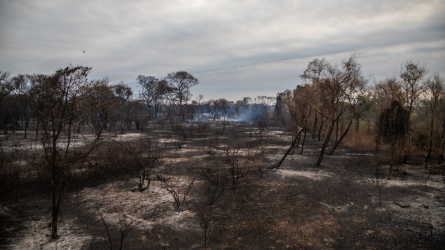 FAB lança 336 mil litros de água para combater incêndios no Pantanal