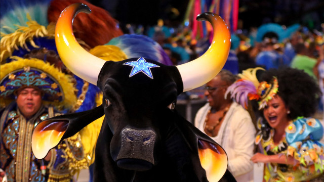 Boi Caprichoso é campeão do Festival de Parintins 2024