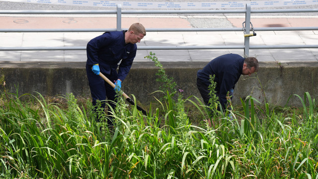 Dois corpos encontrados em canal em Dublin