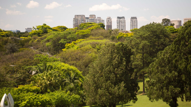 Uma pausa para a secura e as queimadas: chegou a Primavera