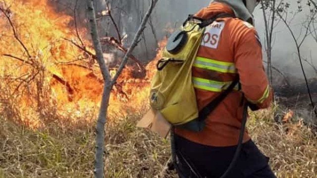Brigadista morre durante incêndio em canavial