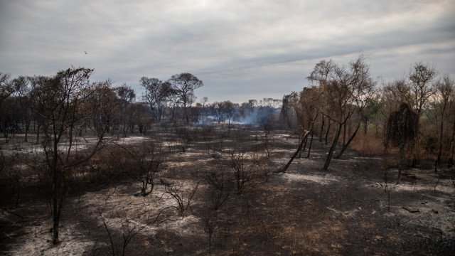 Ferrovia que causou incêndio no pantanal acumula multas ambientais