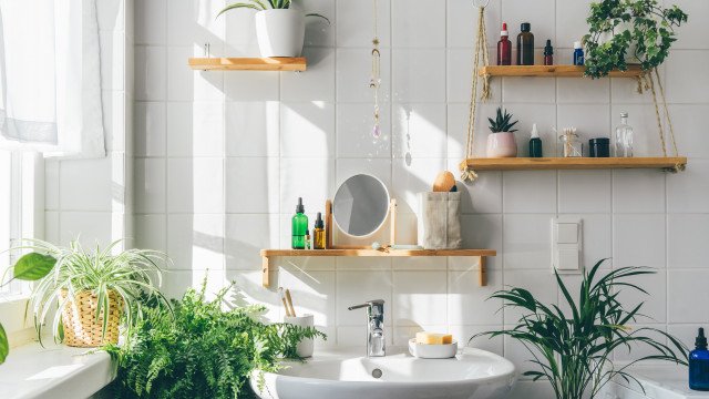 Banheiro com cheiro ruim? Cinco plantas que ajudam a combater mau cheiro
