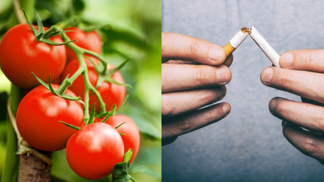 Do cigarro? Alimentos que têm nicotina (é isso mesmo que você leu)!