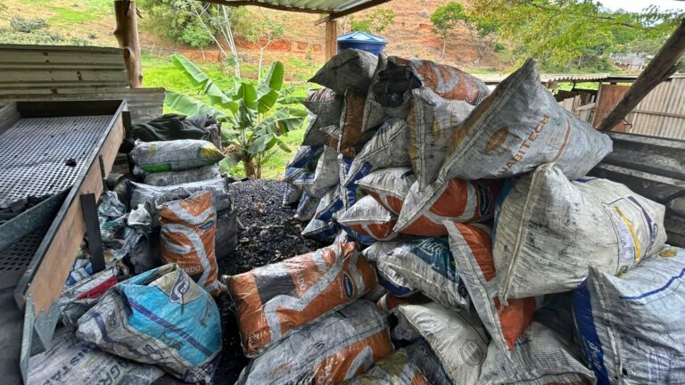 Polícia Ambiental desmantela carvoaria clandestina em Miracema