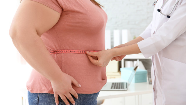 Cerca de 24% dos adultos brasileiros são obesos