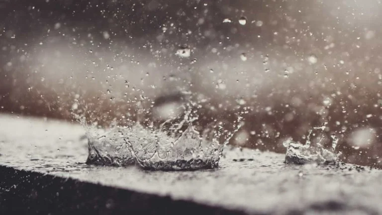 Água da chuva pode estar contaminada por agrotóxico, diz estudo