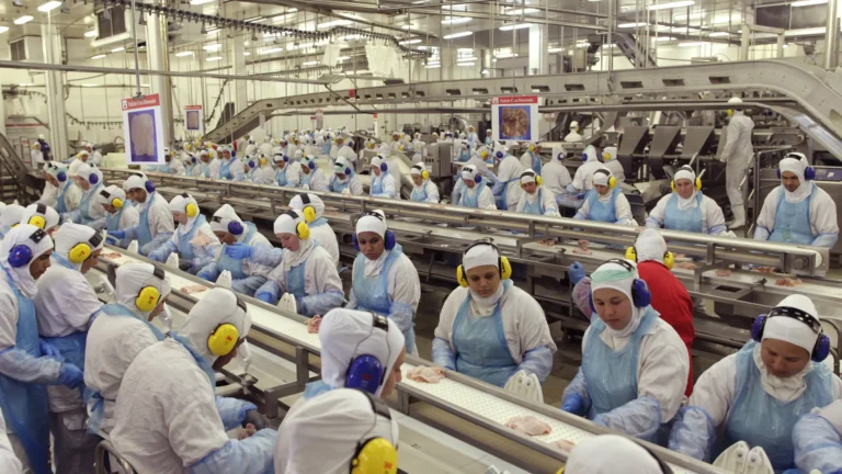 Acordo UE-Mercosul pode render R$7,7 bi à JBS até 2040, diz estudo