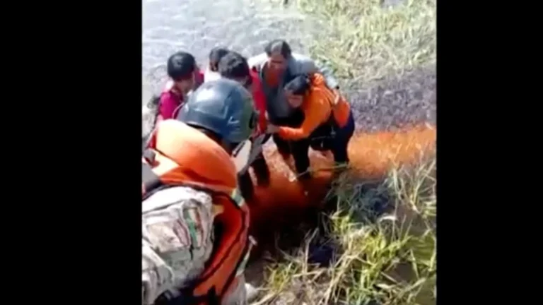 Cinco pessoas sobrevivem após queda de avião em pântano com jacarés