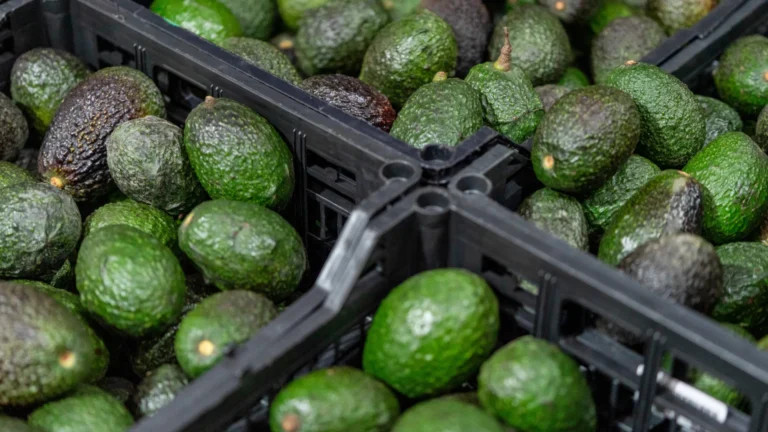 Alimentos que ajudam a repor a deficiência de minerais