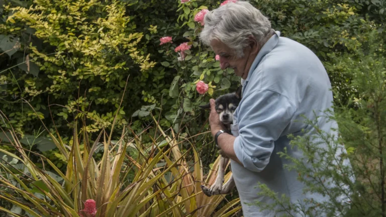 José Mujica queria ser cremado e enterrado ao lado da cadela Manuela