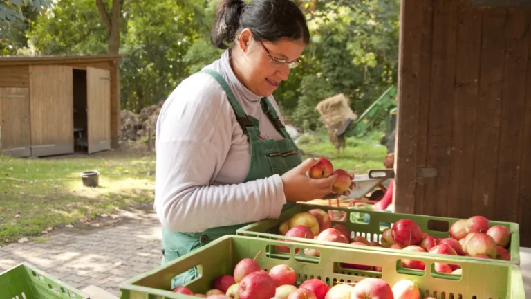 Países que mais desperdiçam comida – Brasil se destaca