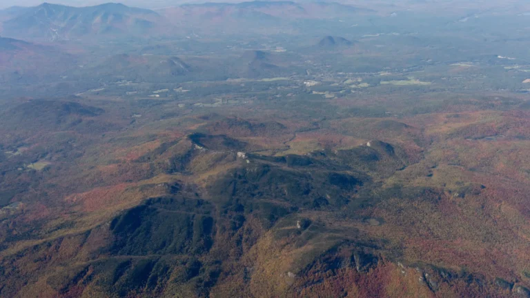 Montanhistas alucinam com “morte” após uso de cogumelos nos EUA