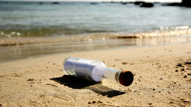Mensagem em garrafa atravessa oceano e muda viagem de família nos EUA