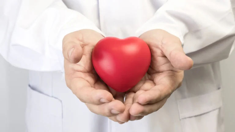 Sete alimentos que fortalecem o coração e ainda ajudam a emagrecer