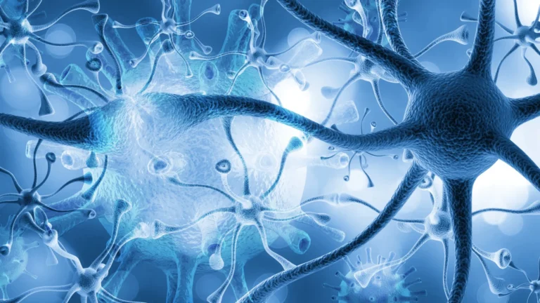 Infecção por parasita comum pode prejudicar seriamente a função cerebral