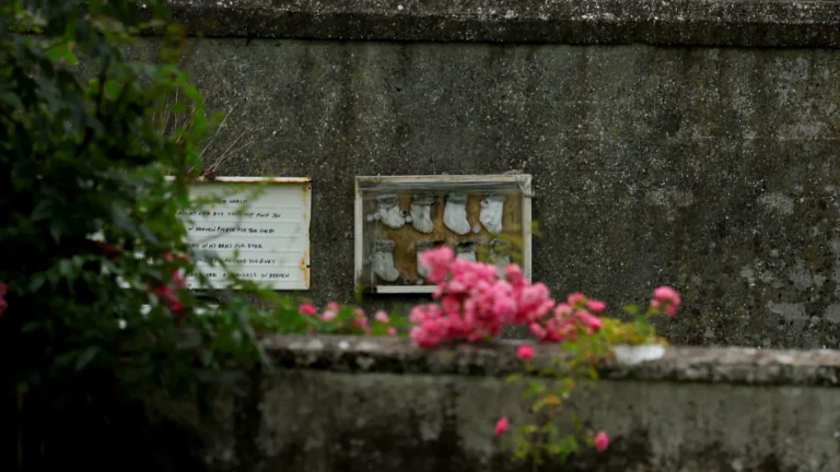 Escavações resgatam corpos de 796 crianças em vala comum na Irlanda