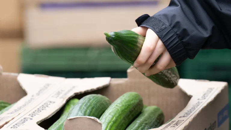 Alimentos que são muito mais potentes quando consumidos crus