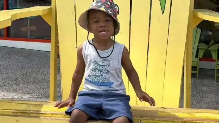 Menino de 3 anos morre após ser esquecido por 5 horas em carro nos EUA