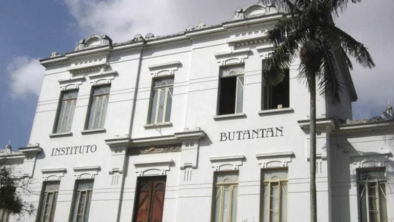 Câmara aprova PL que prevê derrubada de árvores para expansão do Butantan
