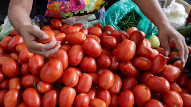 Por que você NÃO deve guardar esses alimentos na geladeira
