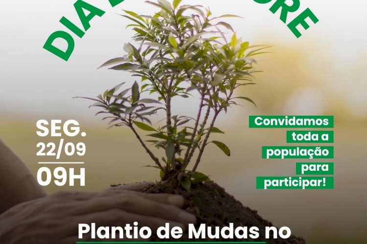 Itaperuna celebra o Dia da Árvore com plantio de mudas no Morro do João Bedim