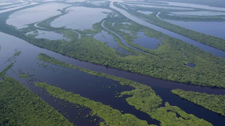 Petrobras recebe licença para perfuração de poço na bacia da Foz do Amazonas