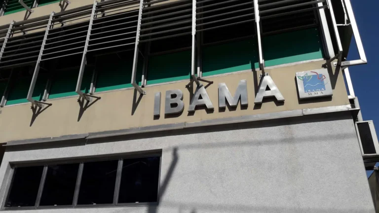 Ibama nega licença para usina termelétrica a gás natural em Brasília