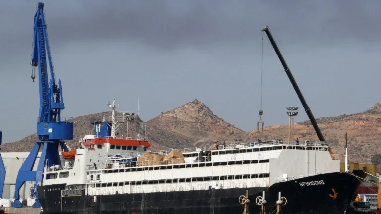 Europa sob pressão após navio com 3 mil vacas virar “navio da morte”