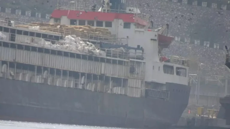 Navio com 3 mil vacas vira crise global e inicia retorno ao Uruguai