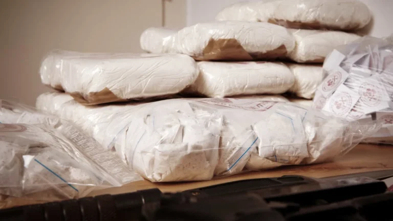 Polícia Federal encontra 613 kg de cocaína em bunker em SC