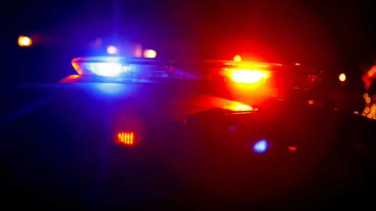 Policial saca arma para separar briga de duas estudantes em SP; SSP apura