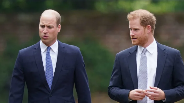 Harry planeja reaproximação com William, diz site