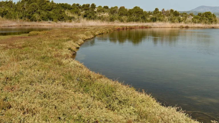 Oito morrem após ônibus cair no lago mais fundo do mundo, na Sibéria