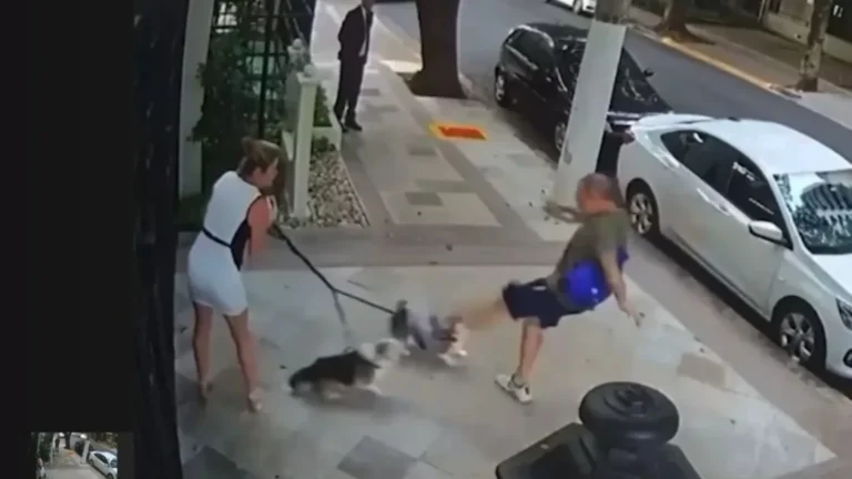 Justiça condena aposentado por agredir cães de irmã do ministro Zanin, do STF