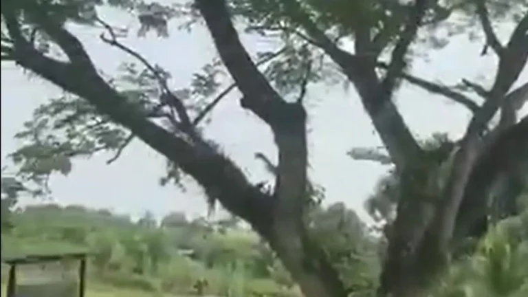 Vídeo mostra queda de avião militar que deixou 66 mortos na Colômbia